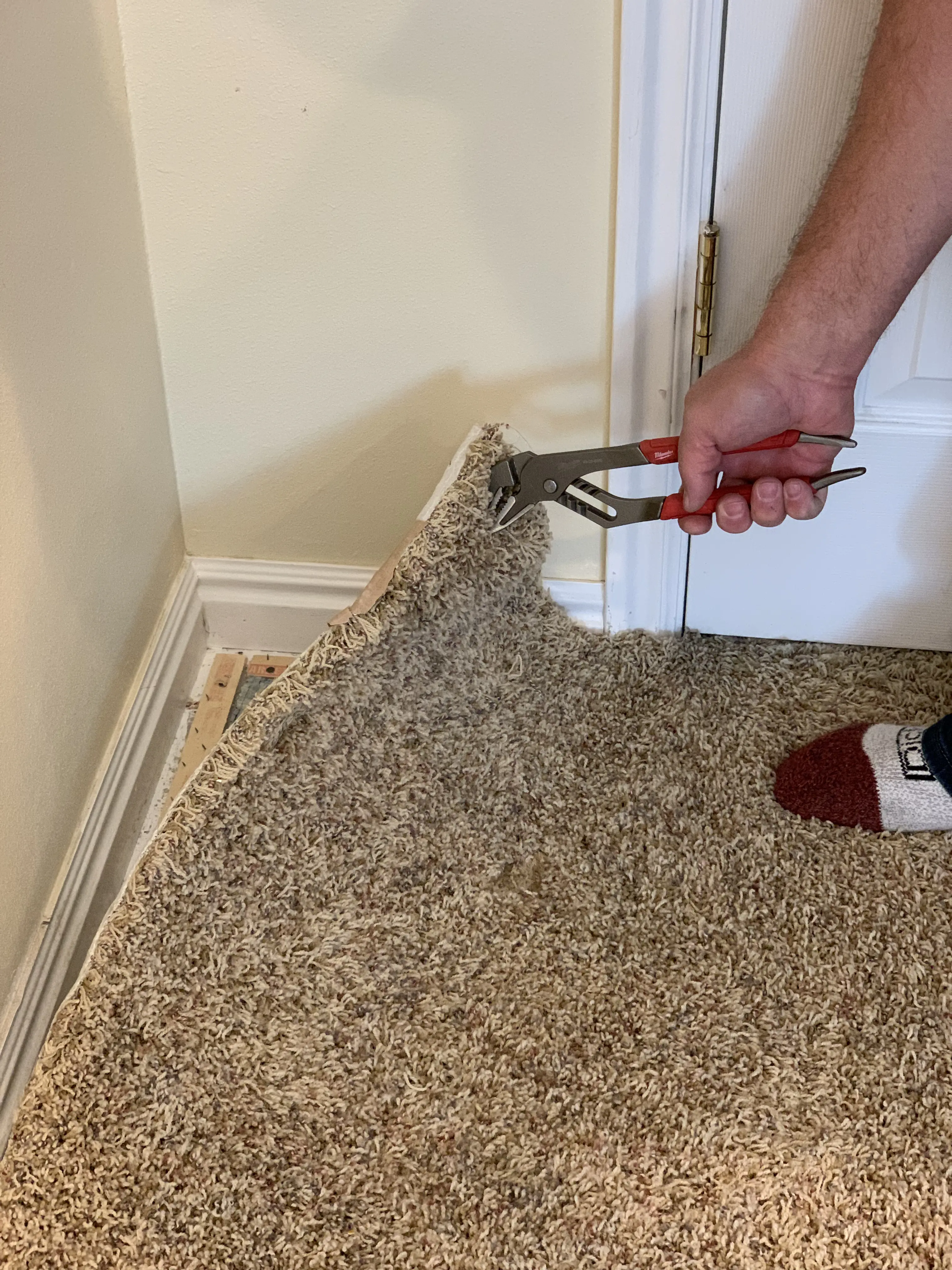 Carpet being pulled up and removed by a ModJobs helper in Utah